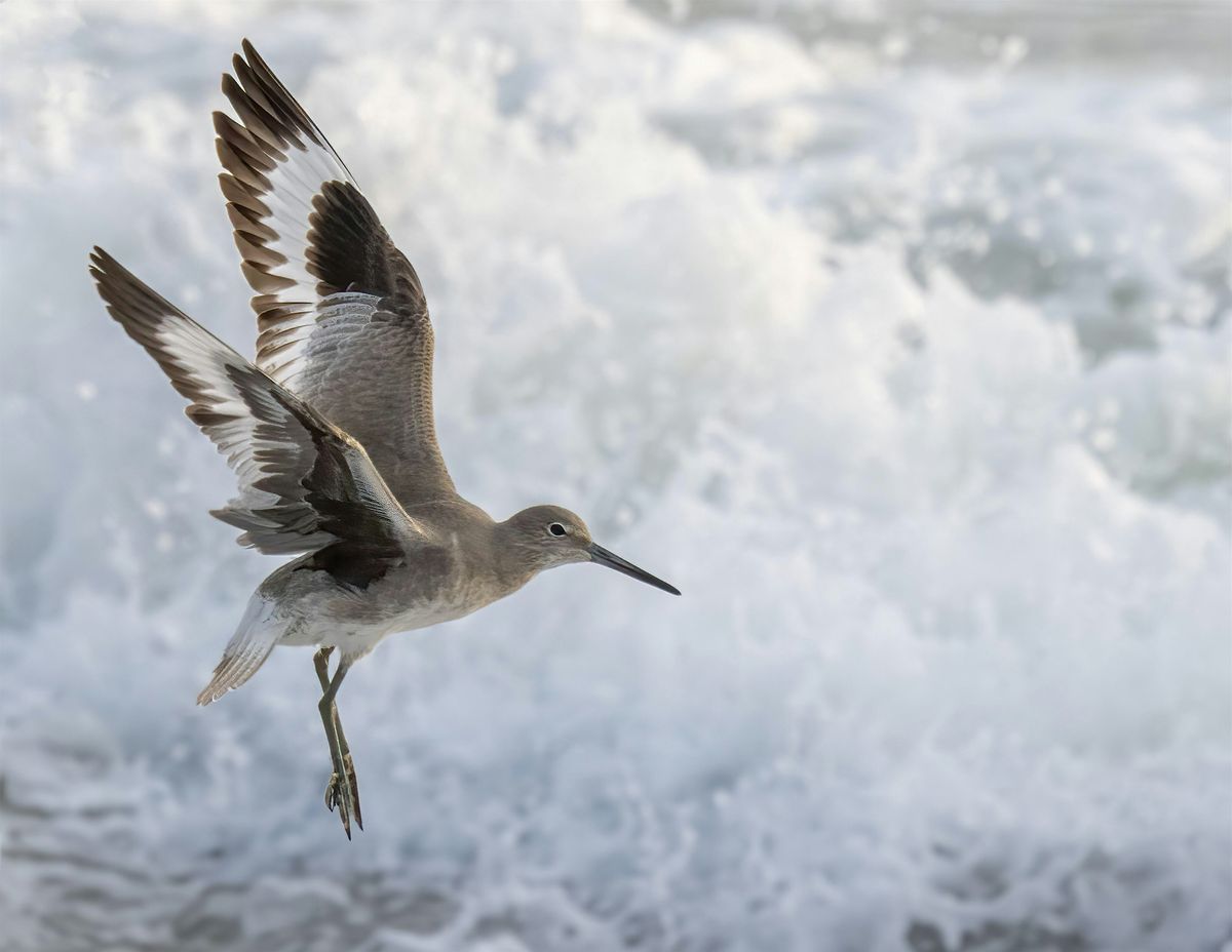 New Jersey Audubon Digital Photography Exhibit Opening Reception, New Jersey Audubon's