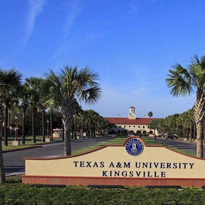 Texas A&M UniversityKingsville Individual Student & Family Tours, 1050