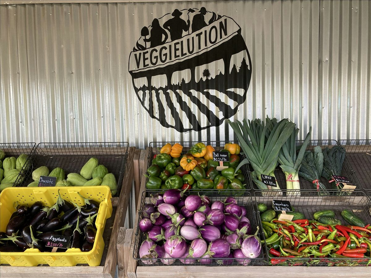 Del Campo a la Mesa Volunteering - Farm Box Distribution Support