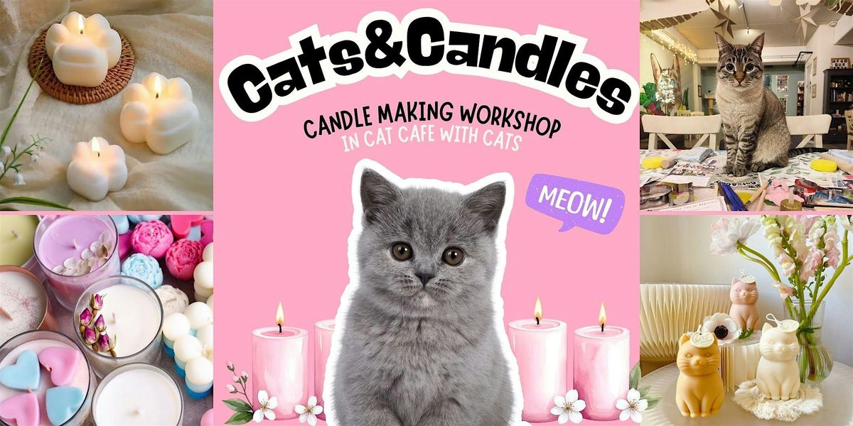 Cats&Candles: candle making workshop in cat cafe with cats - Leiden