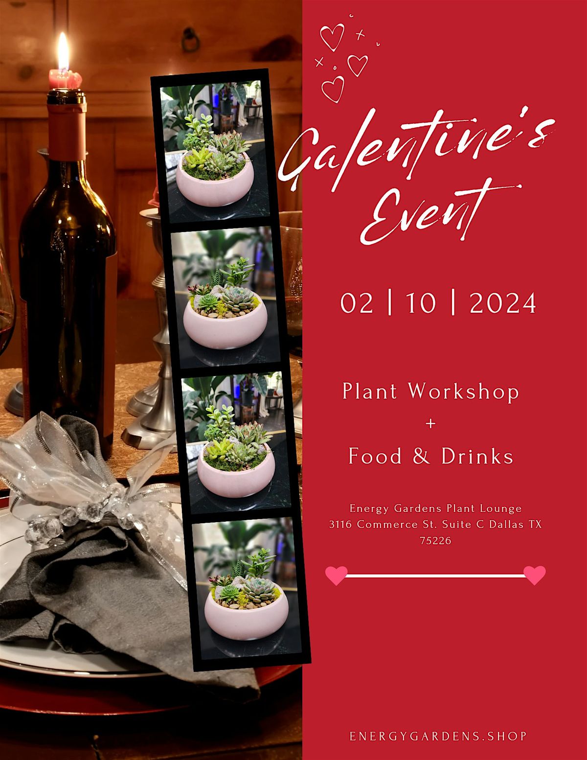 Energy Gardens Galentines Terrarium Energy Gardens Terrariums