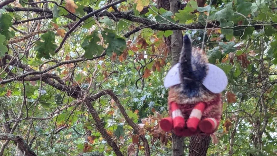 Walk the Elephant Trail - 6-6.25 miles