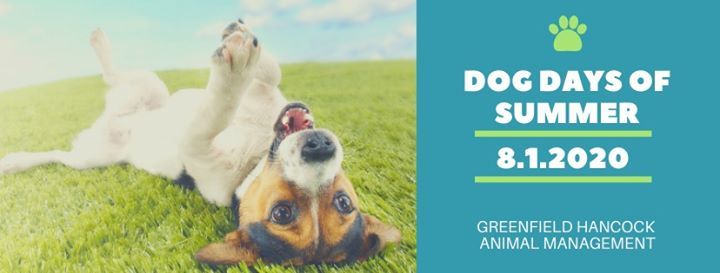 Get Gham Dog Days Of Summer 2020 At Riley Memorial Park Greenfield Free Wallpaper Gham Dog Days Of Summer 2020 At Riley Memorial Park Greenfield HD