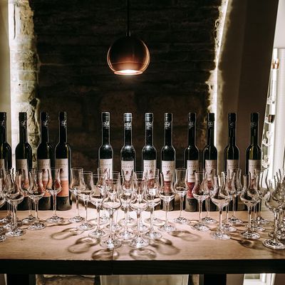 Palinka Experience and Tasting
