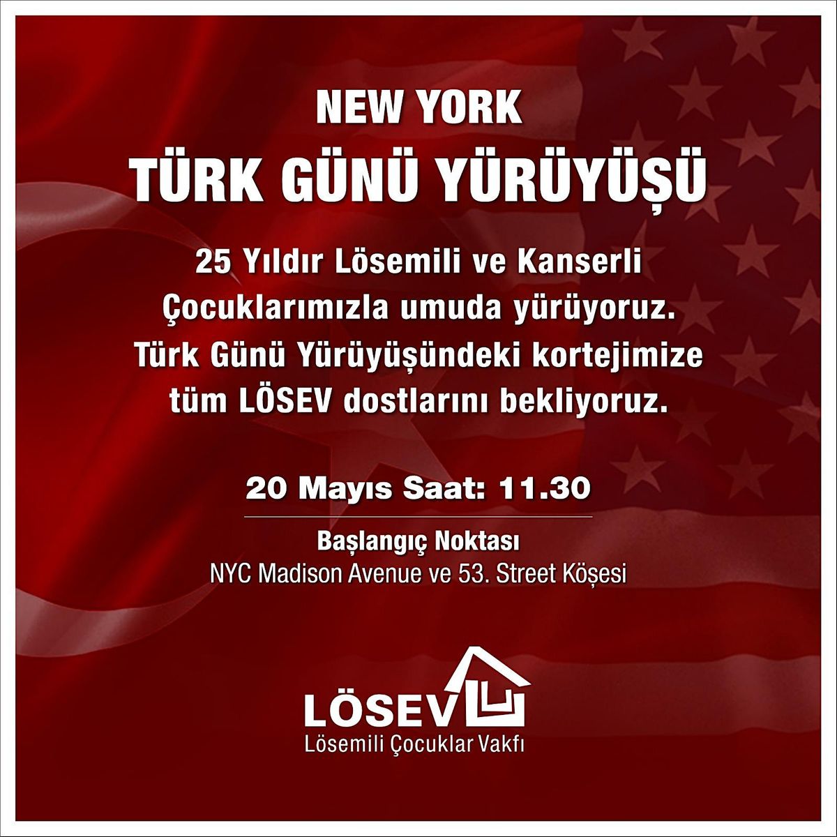 LOSEV ile TURK GUNU YURUYUSU, Madison Avenue & East 53rd Street, New