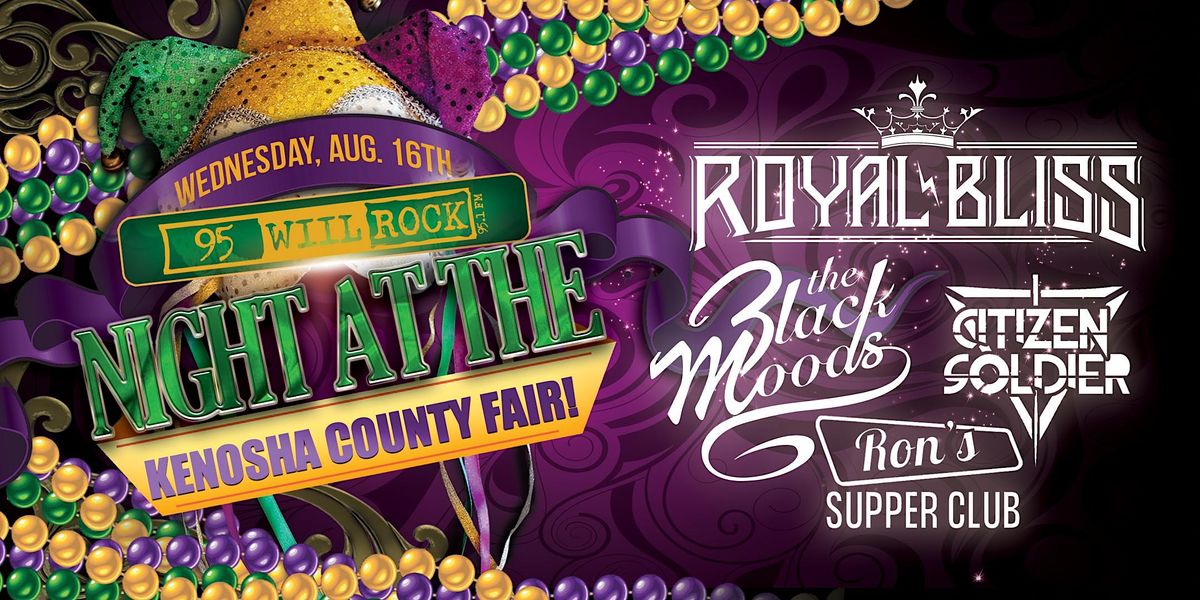 95 WIIL ROCK nite The Kenosha County Fair VIPUP FRONT ticket