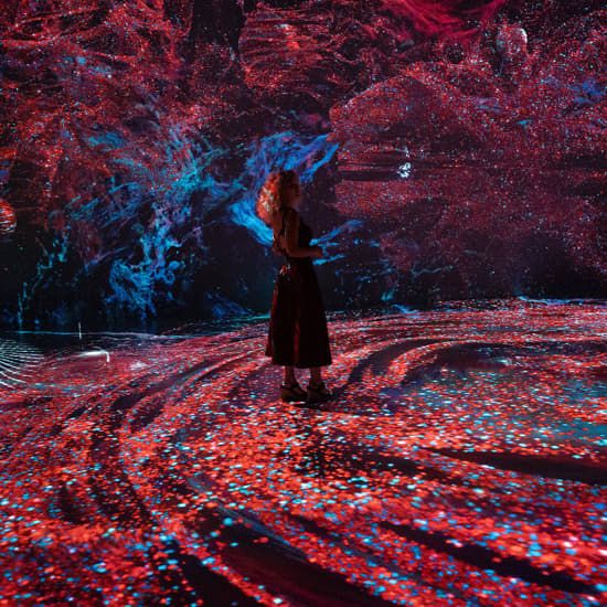 ARTXSPACE: Nikola Tesla Immersive Experience - Gift Card, 1 January | Online Event | AllEvents