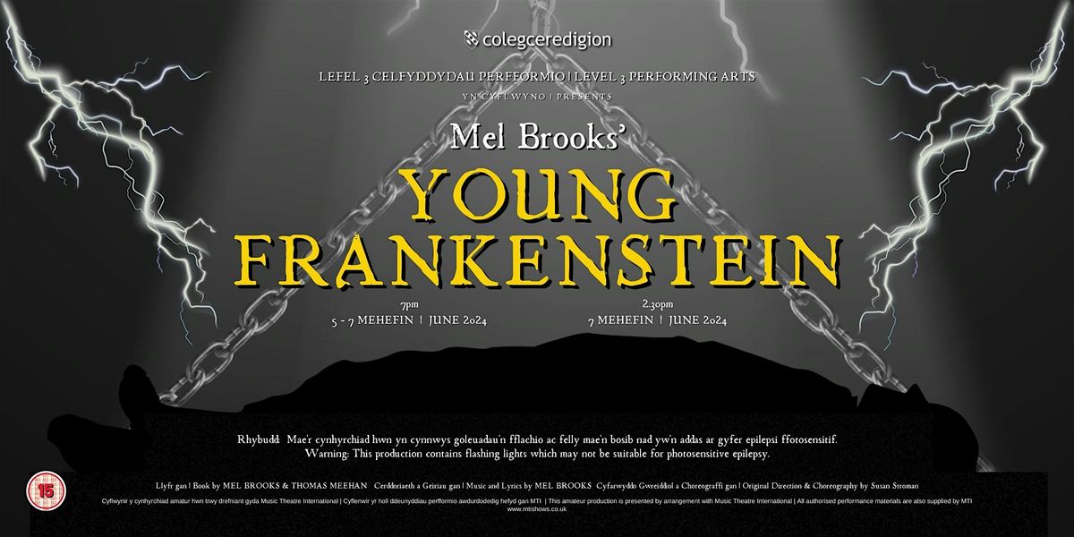 Young Frankenstein The Musical, Castle Theatre, Vulcan Street
