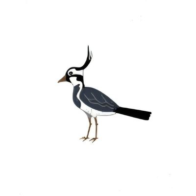Leeds Lapwings logo