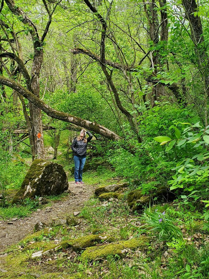 Earth Day Celebration Forest Bathing Walk, Historic Cane Hill (Historic ...