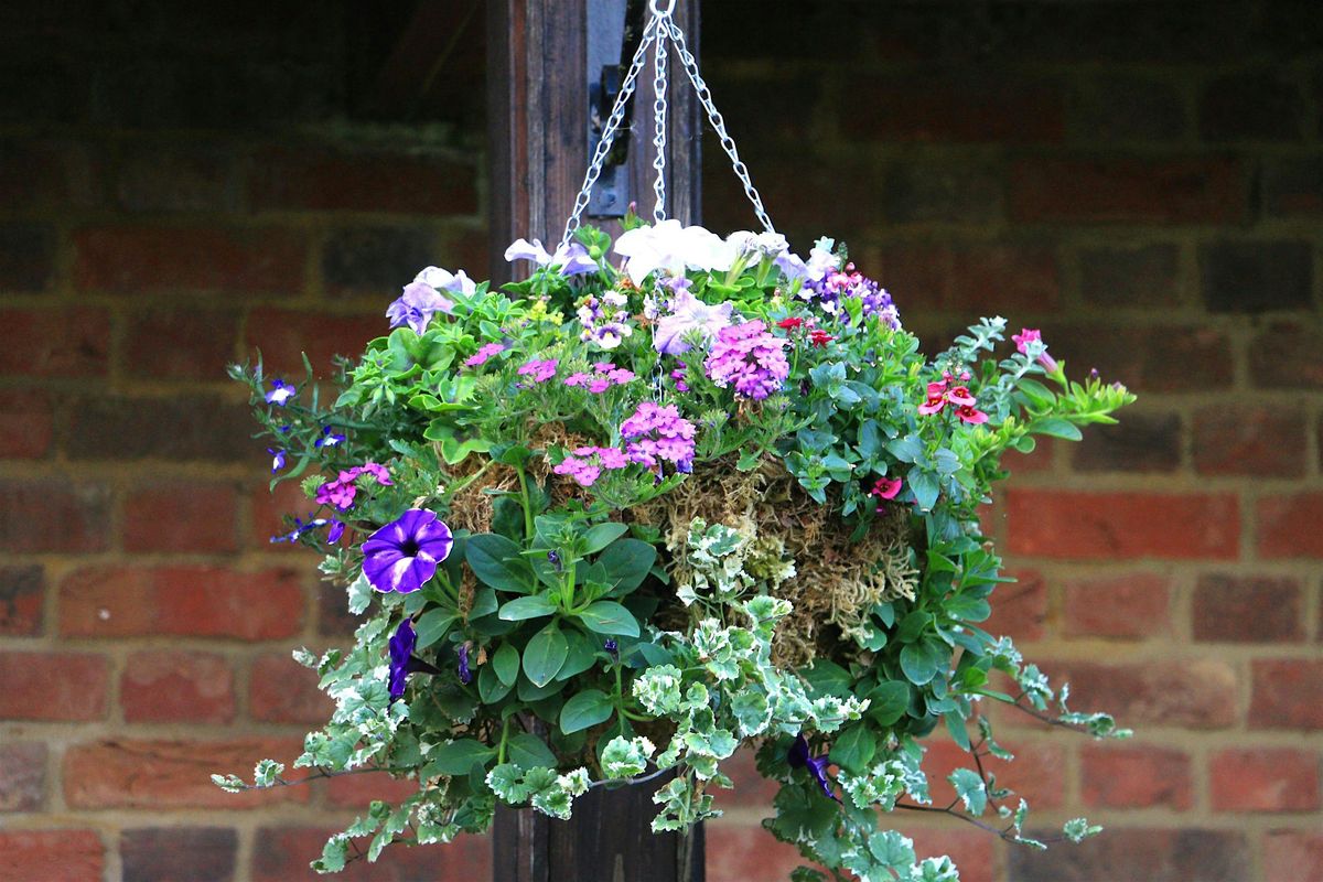 First  Summer Container and Hanging Basket Workshop, 14 May | Event in Preston Bissett | AllEvents