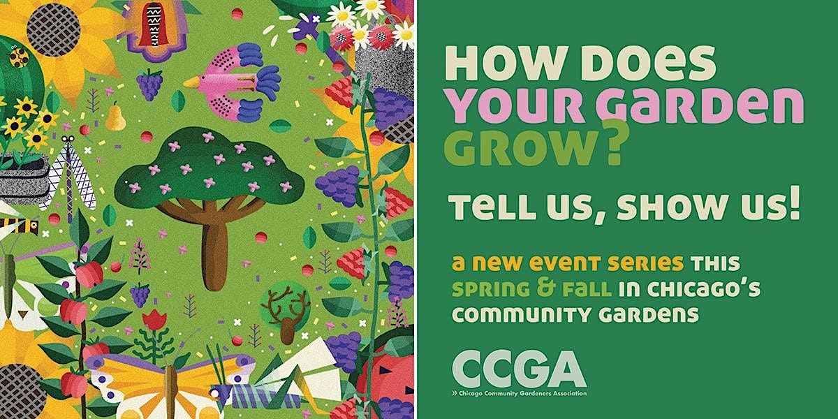 How Does Your Garden Grow? Springtime Pollinators with The Field Museum ...