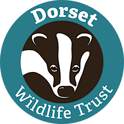Dorset Wildlife Trust logo