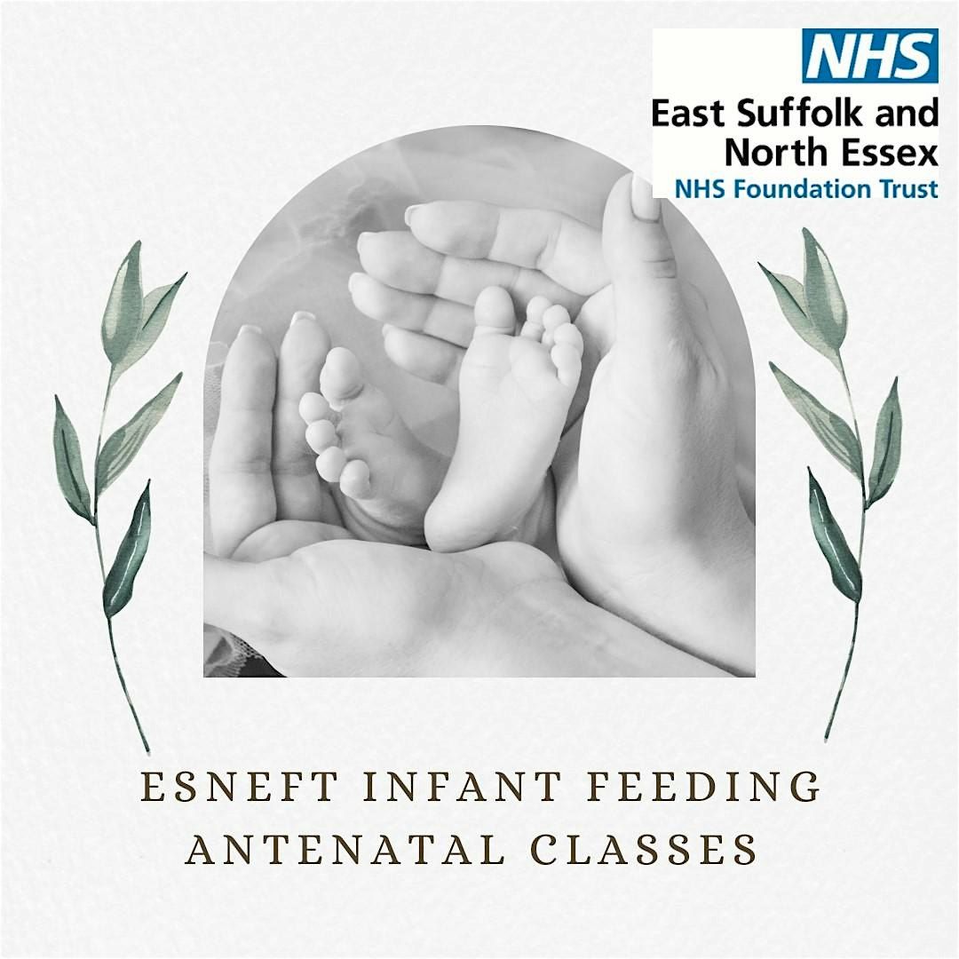 Colchester - Infant Feeding and Caring for your newborn baby in early ...