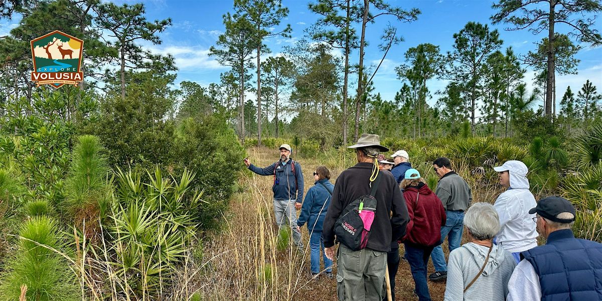 Wiregrass Hike, 18 December | Event in Osteen | AllEvents