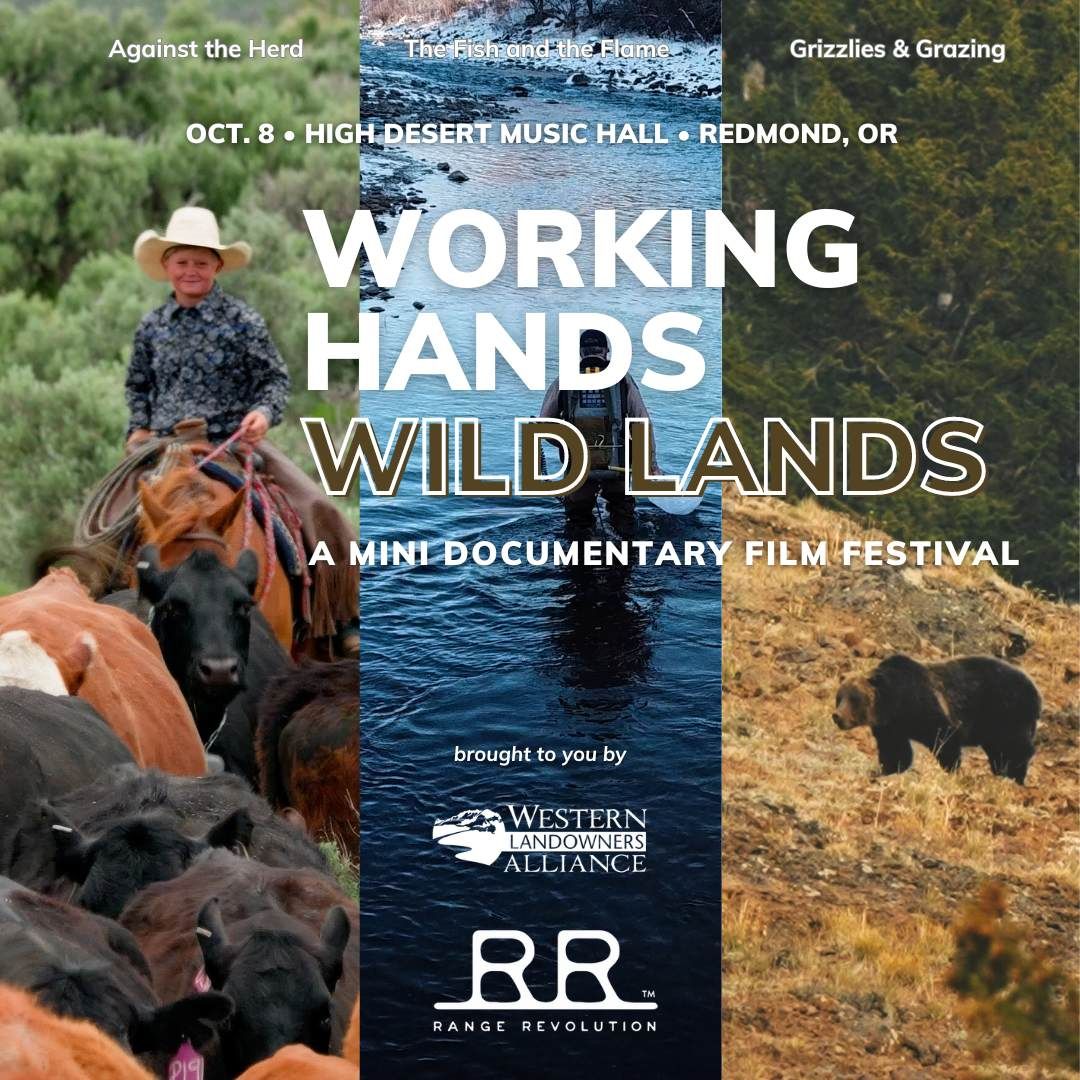 High Desert Music Festival - Thursday, 9 July | Event in Elko | AllEvents