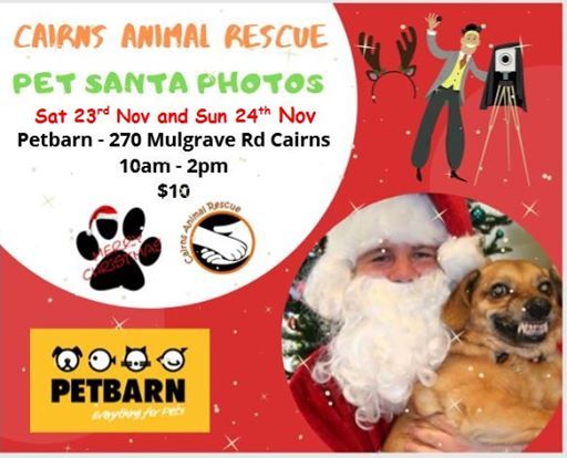 Santa Pawtraits At Petbarn Westcourt