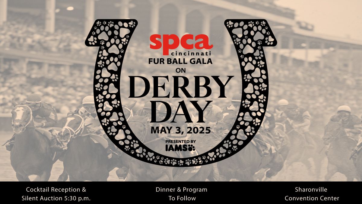 Furball, 23 May | Event in Chicago | AllEvents