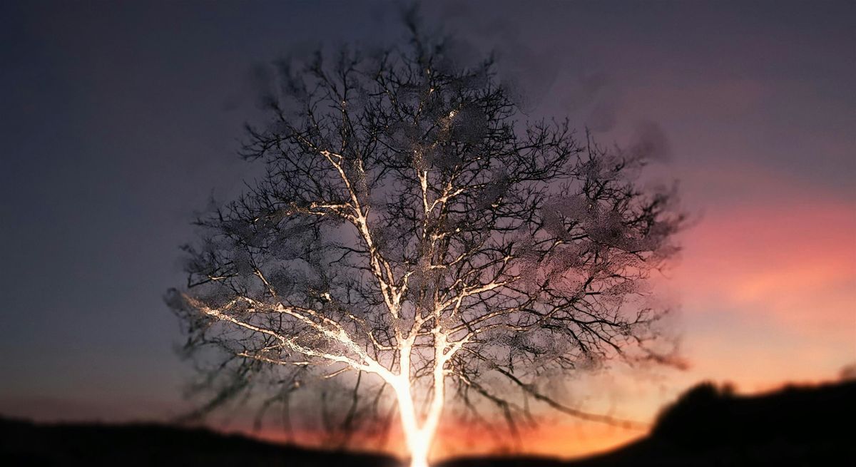 Wider than the Sky, 27 November | Event in Como | AllEvents