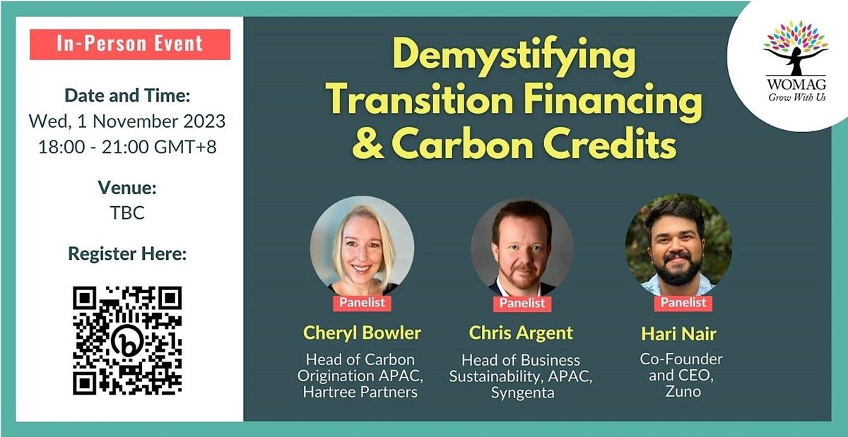 On the road to COP28: Demystifying Transition Financing & Carbon ...