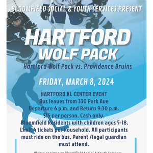 Providence Bruins at Hartford Wolf Pack at PeoplesBank Arena