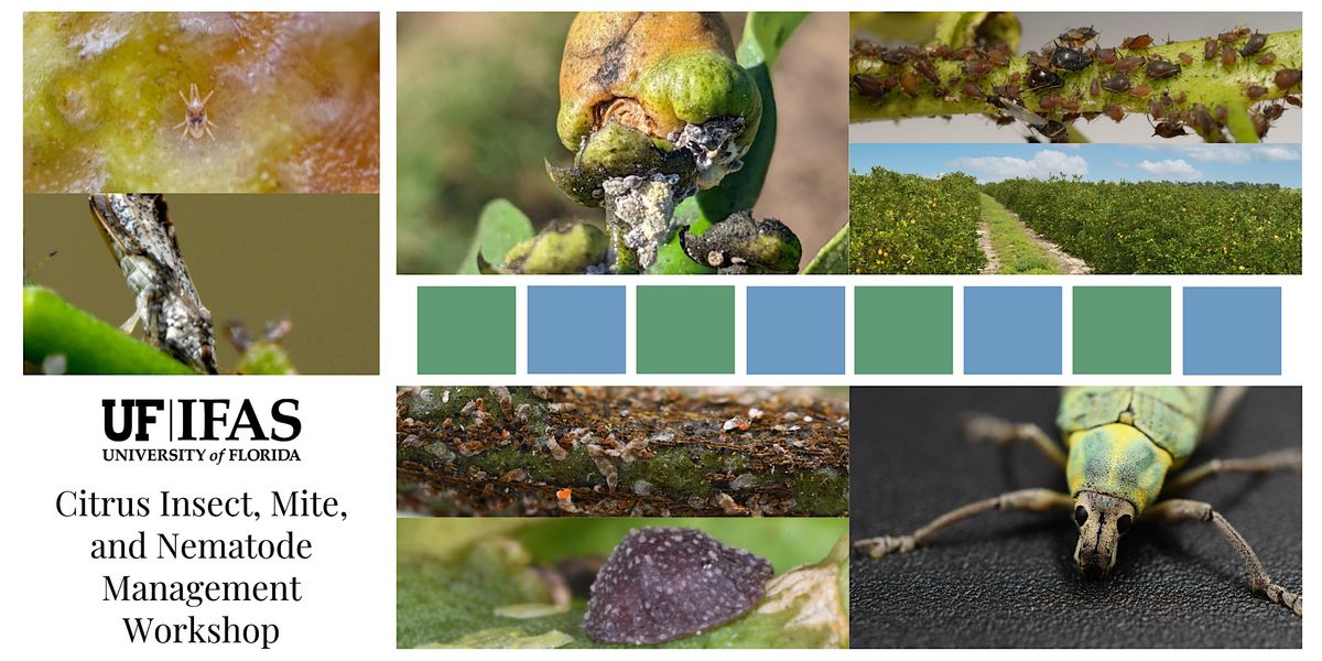 Citrus Insect, Mite, and Nematode Management Workshop, UF/IFAS Citrus ...