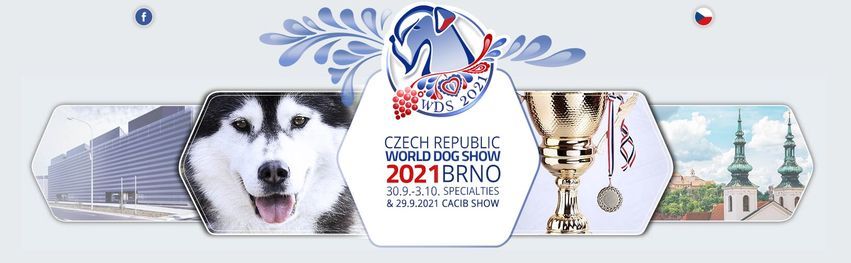 India Kci Dog Show Events In The City Top Upcoming Events For India Kci Dog Show 2022 Dog Events Near Me