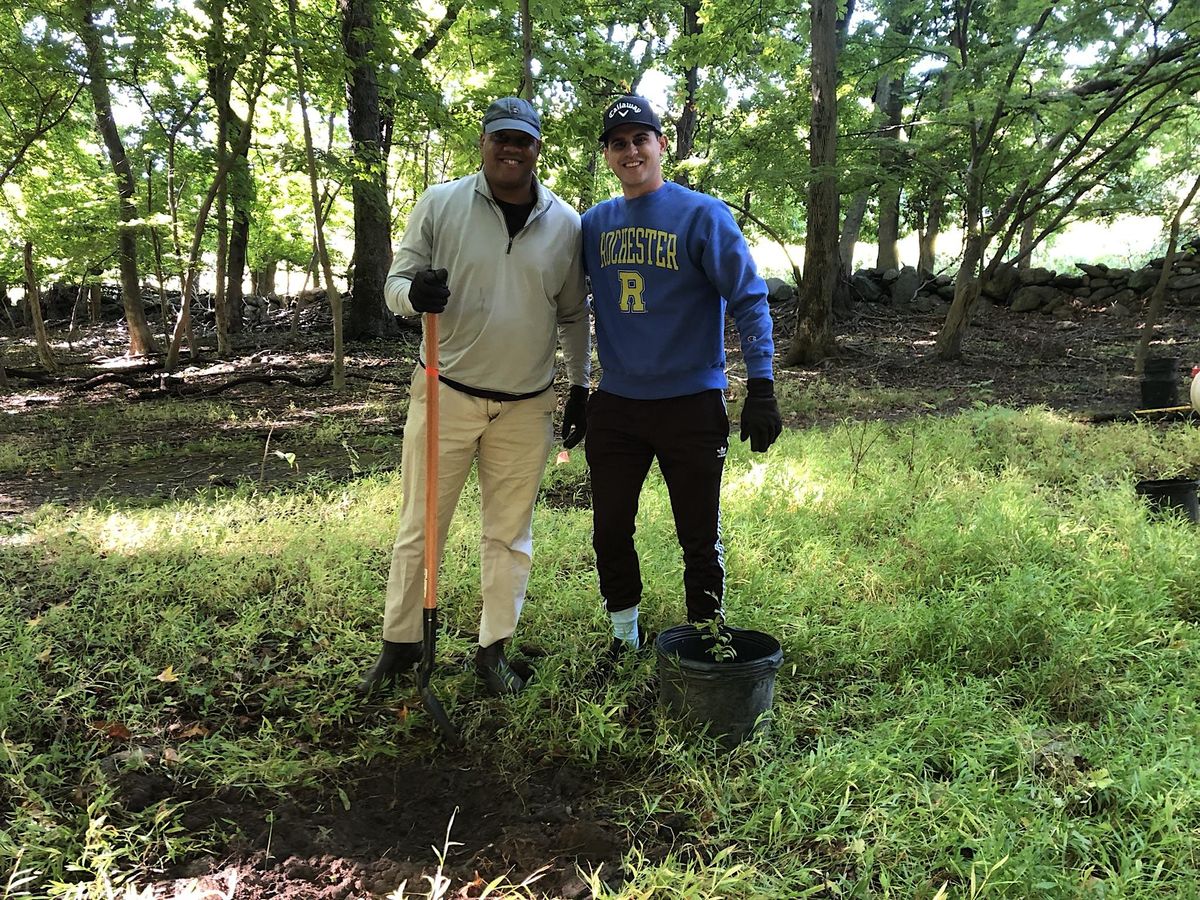 Native Tree Planting at Hillside Woods, Hillside woods trailhead