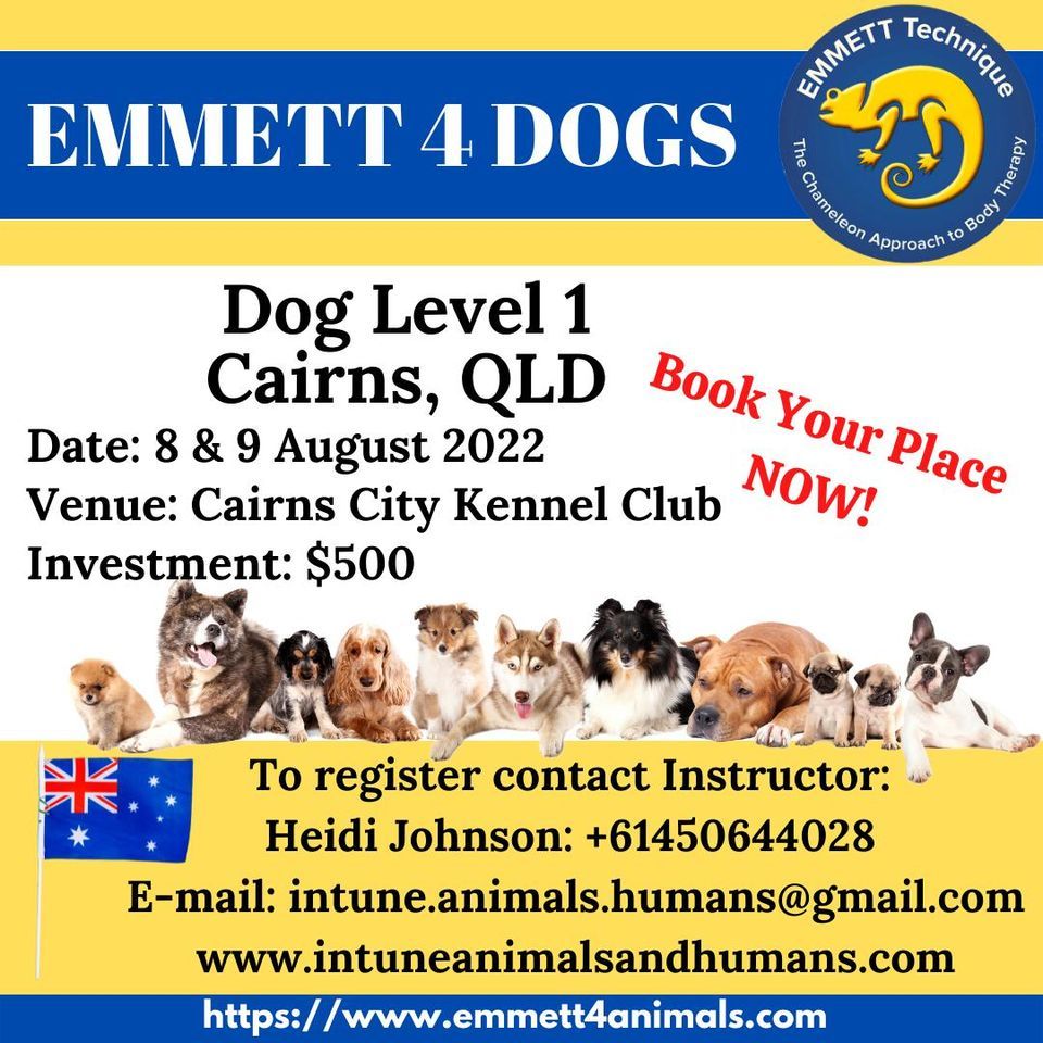 EMMETT 4 Dogs Level 1 Cairns, QLD 8 & 9 August 2022, Cairns City Kennel Club, August 8 to