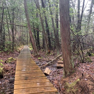 Massachusetts Dept. of Conservation and Recreation logo