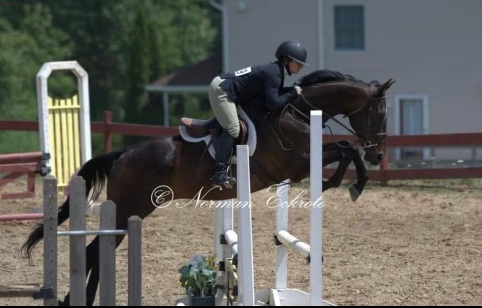 Lake Equestrian Horse Show , Lake Equestrian Center, Lake Ariel, June
