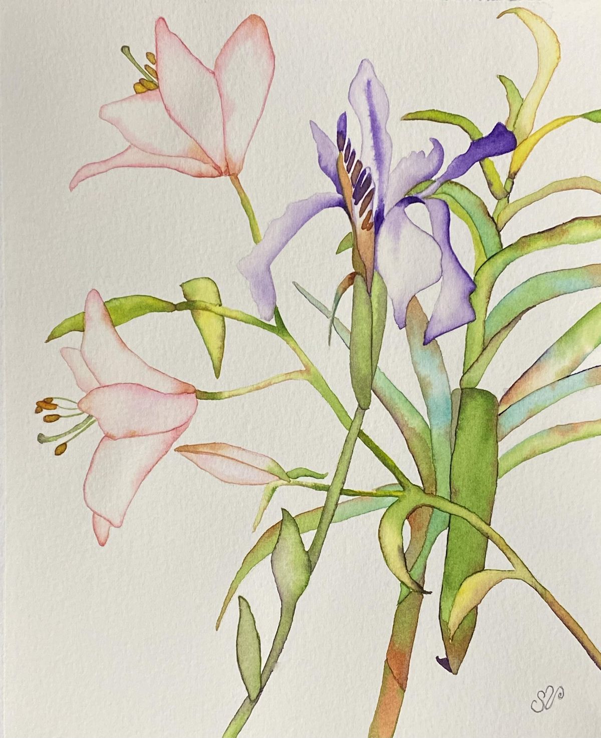 Splash Watercolor Class Three Lilies and an Iris, Art On The Columbia