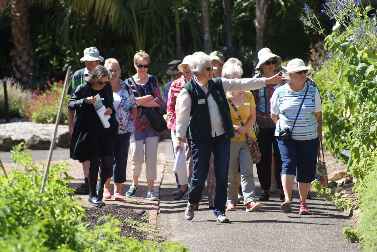 Edible Plants the Geelong Botanic Gardens Geelong Nature Festival