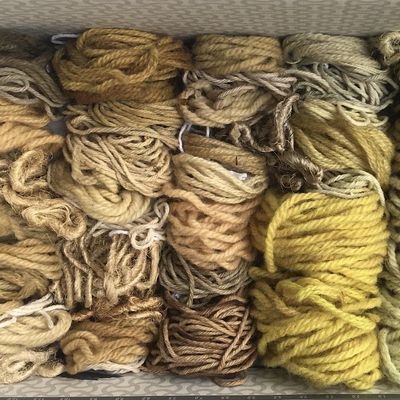 Introduction to Solar Dyeing with Plants - online course