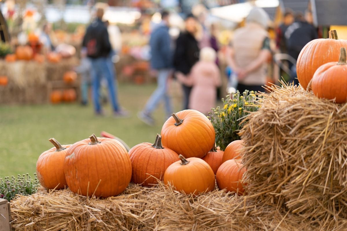 Community Fall Festival by the Westridge Church Group, 27 September | Event in Highlands Ranch | AllEvents