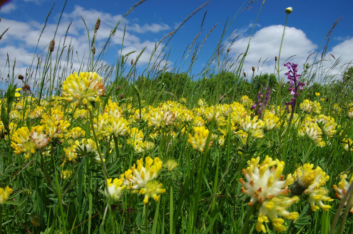 Group for recently qualified Person-Centred practitoners | Event in Brighton and Hove | AllEvents