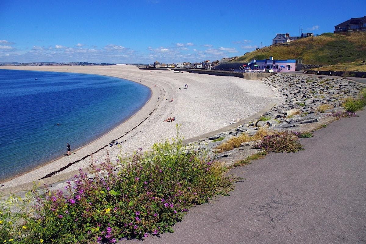 Great Dorset Beach Clean 2024 (Chesil Cove), Quiddles Cafe, The