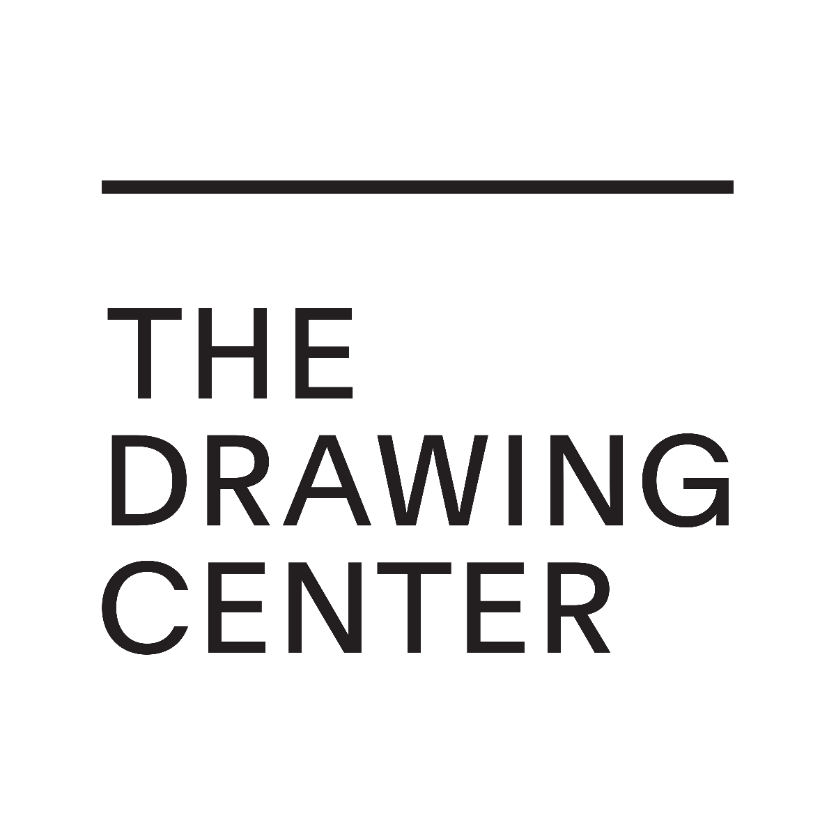 Exhibition Tour Ways of Seeing at The Drawing Center, The Drawing