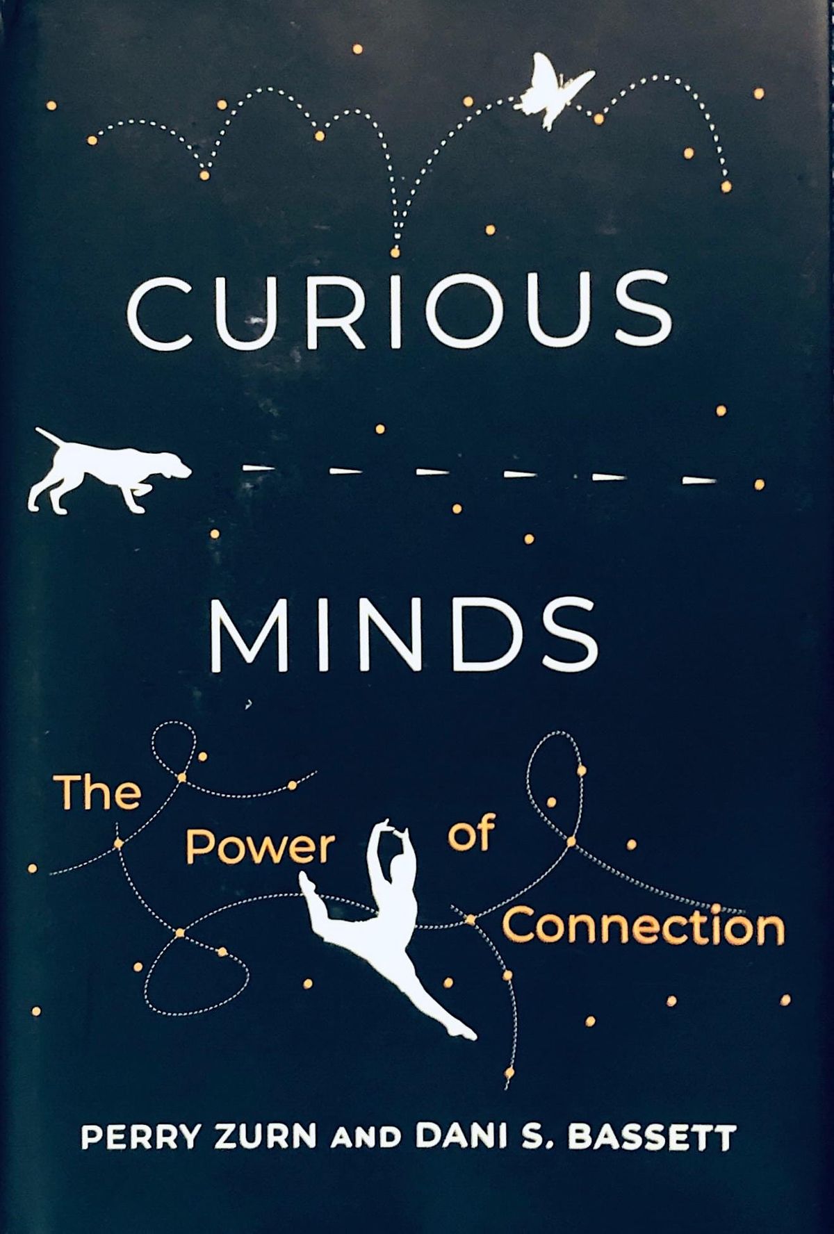 Dr. Dani Bassett and Dr. Perry Zurn Curious Minds: The Power of