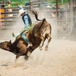 American Rodeo Contender Tournament East Semi-Finals - Roughstock Event ...