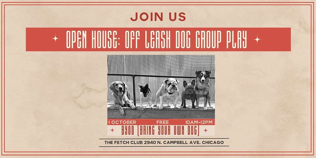 Chicago open house & off leash dog group play, The Fetch Club, Chicago, 1 October 2023