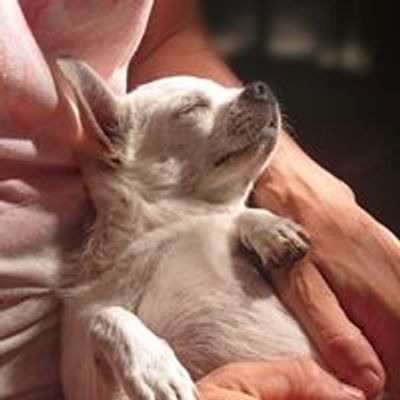 Green Animal Osteopathy / Martine Groeneveld