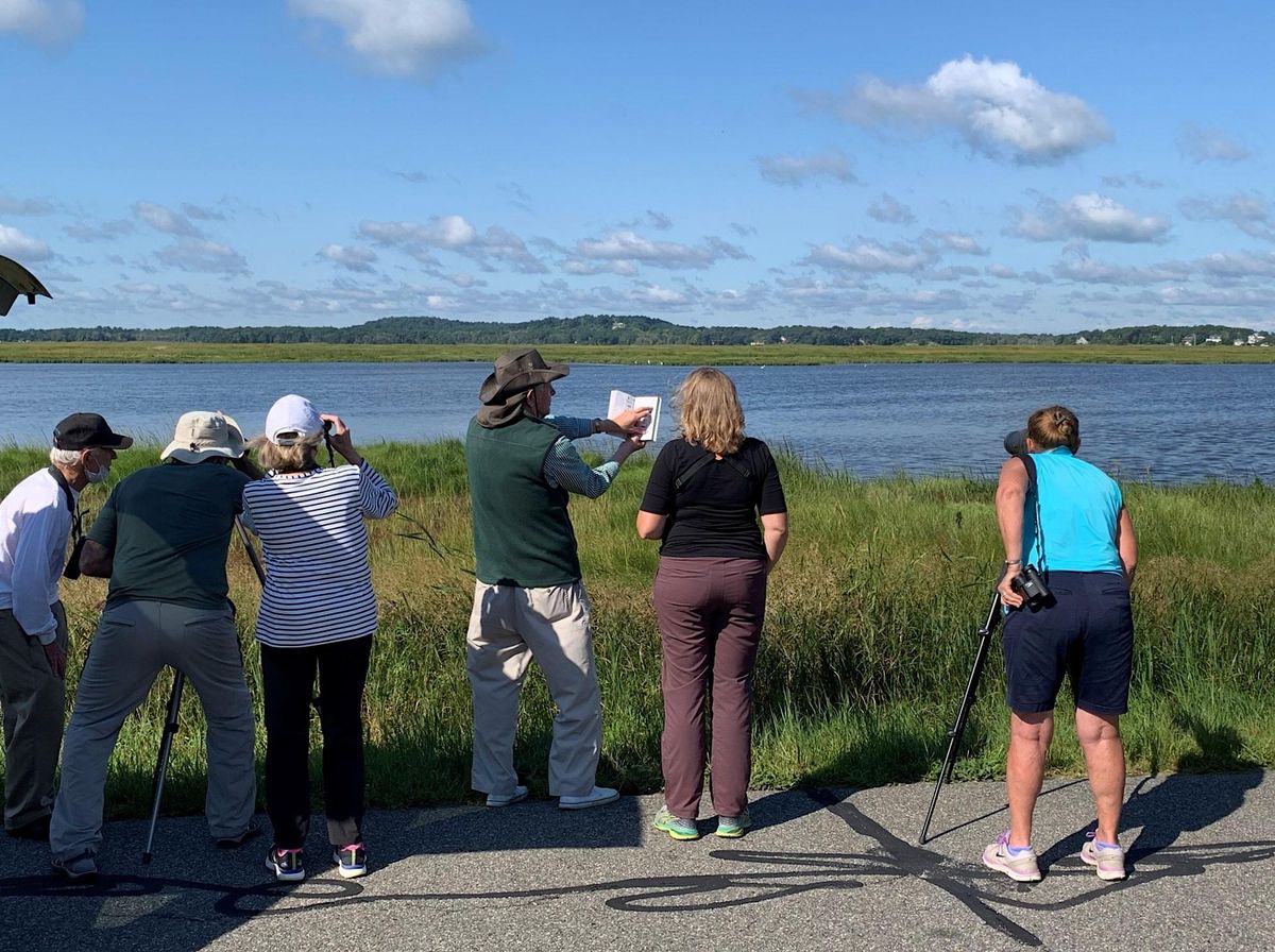 Plum Island Bird Walk with Peter Alden Friday, August 25, 2023, Meet
