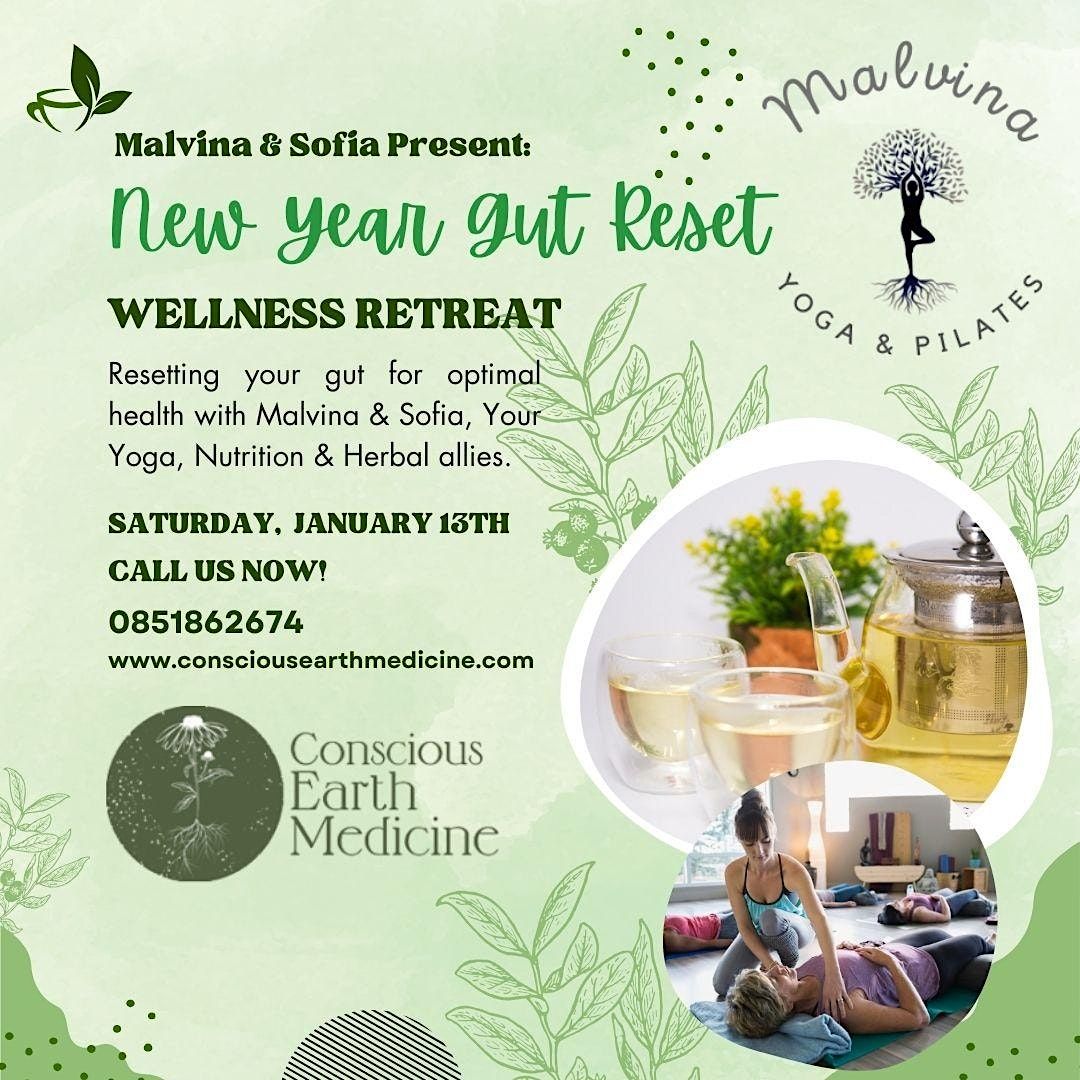 New Year Gut Reset Wellness Retreat, The Health Hub, Loughrea, 13