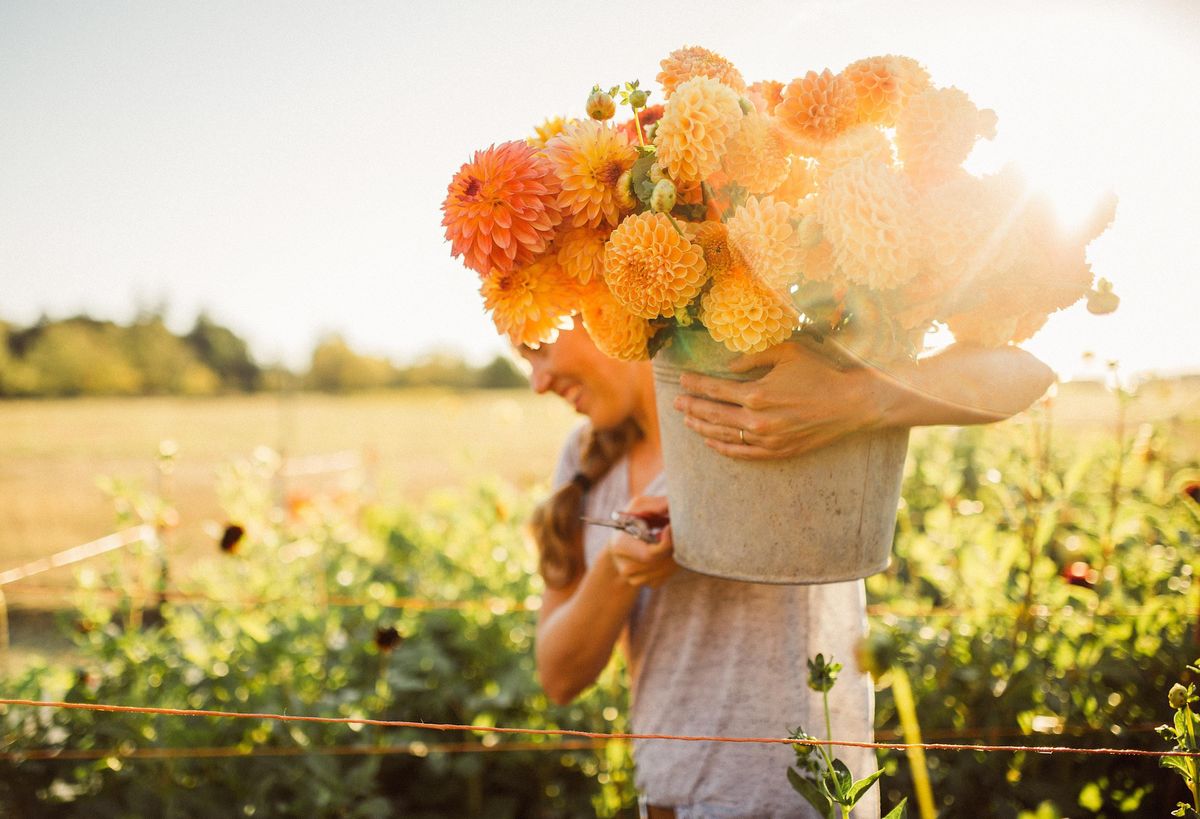 Growing Dahlias in Hot Climates with Eileen Tongson *RECORDING*, March