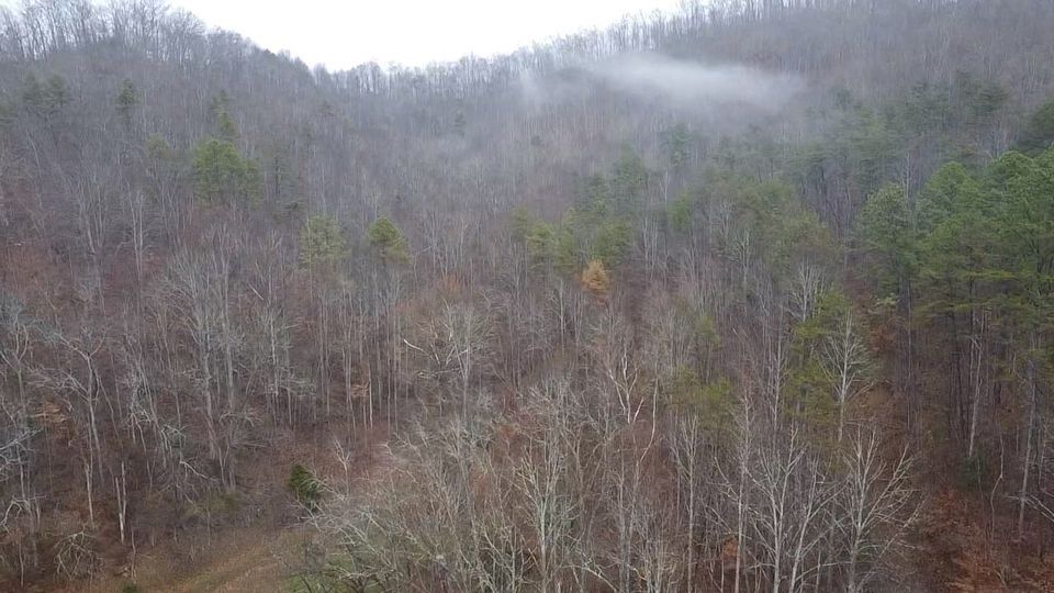 Crum Over 50 Acres of Prime Hunting Land in Wayne County Selling to