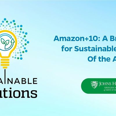 Amazon+10: A Brazilian Initiative for Sustainable Development of the ...