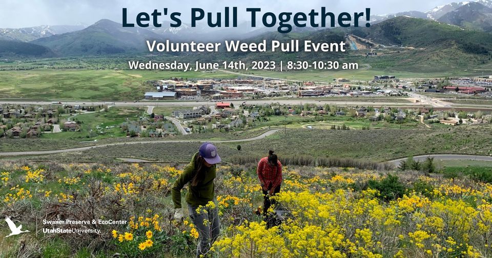 Lets Pull Together Volunteer W d Pull Event Swaner Preserve And lets-pull-together-volunteer-w-d-pull-event-swaner-preserve-and
