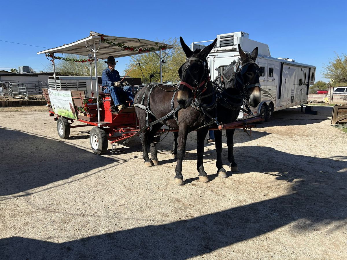 Events & Things To Do In Phoenix on 1st February 2025 events-things-to-do-in-phoenix-on-1st-february-2025