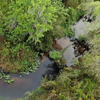 The Nature Conservancy's Tiger Creek Preserve logo